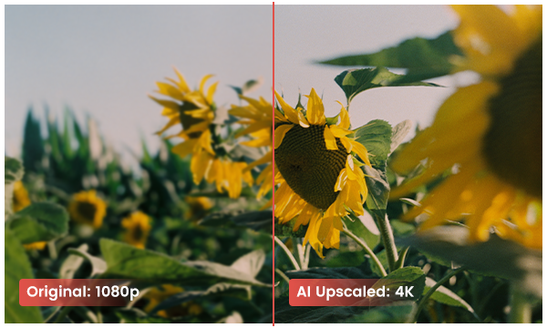 vidéo de 1080p à 4k