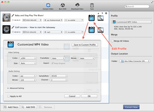 Customize Parameter Settings