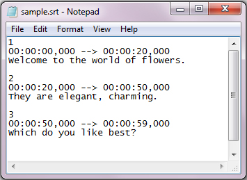 edit-srt-in-notepad